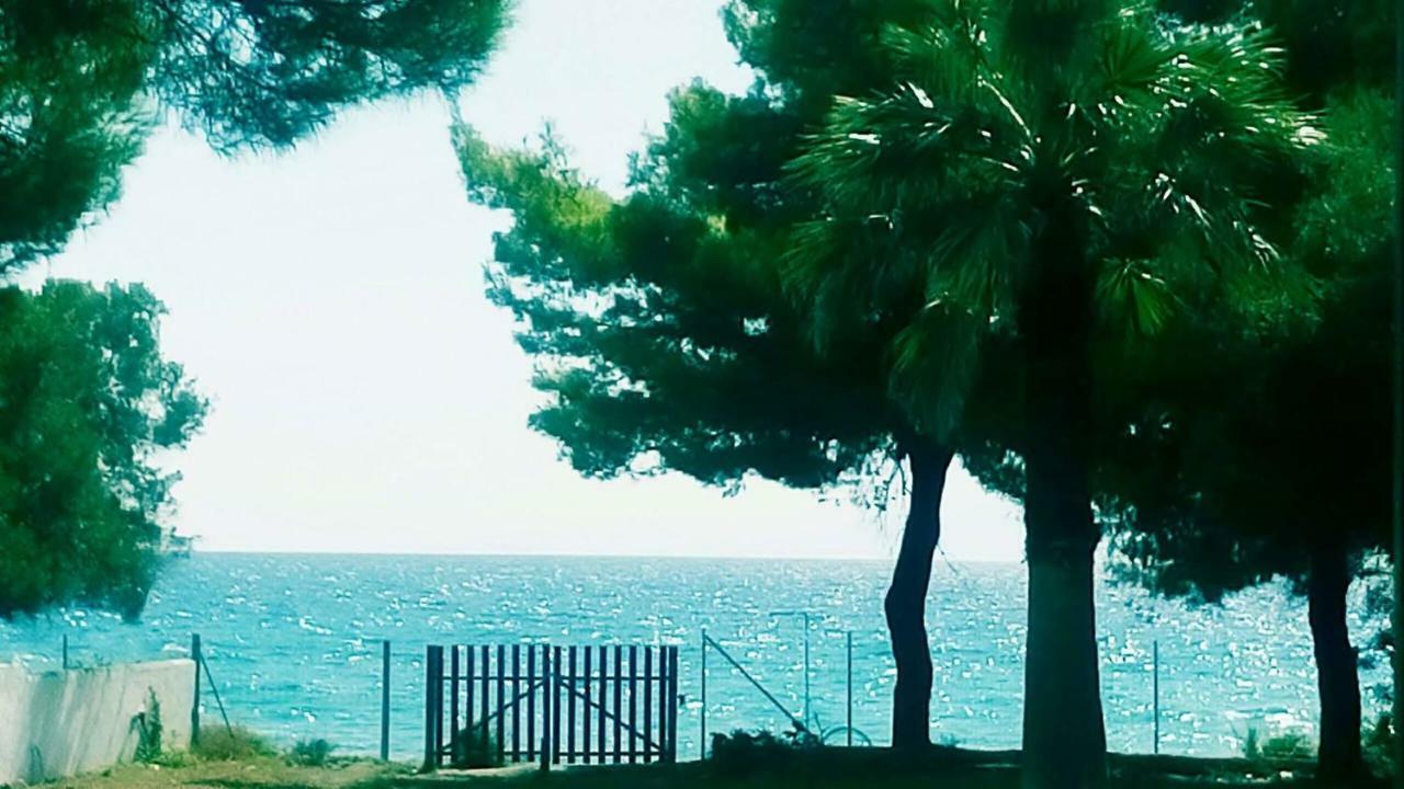 Seafront Villa Joan Nea Skioni Exteriér fotografie